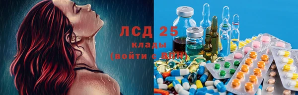 индика Баксан