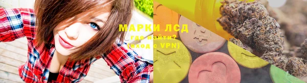 индика Баксан