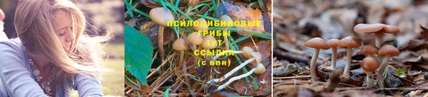 мяу мяу мука Балабаново