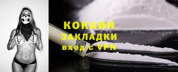 индика Баксан