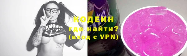 индика Баксан