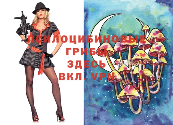 индика Баксан