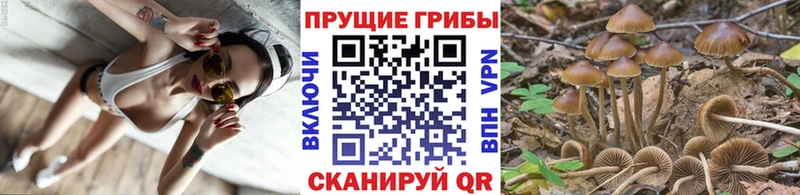 наркошоп  Красноуральск  Галлюциногенные грибы ЛСД 